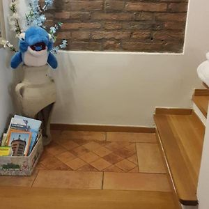 Basic Dreibettzimmer